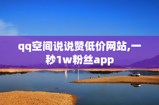 qq空间说说赞低价网站,一秒1w粉丝app