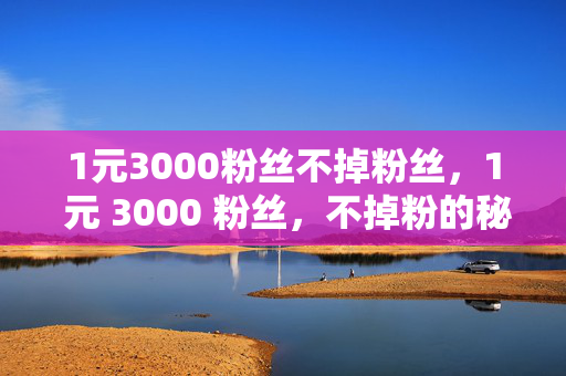 1元3000粉丝不掉粉丝，1 元 3000 粉丝，不掉粉的秘诀，直接点明了关键信息，即 1 元可以获得 3000 粉丝，并且强调了不掉粉丝这一特点，能够吸引读者的注意力，让他们想要了解更多关于如何获得这些粉丝以及保持粉丝不掉的方法。