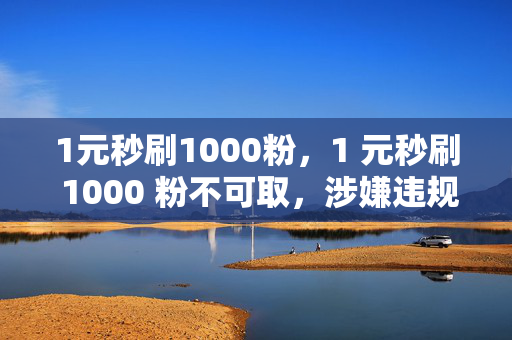 1元秒刷1000粉，1 元秒刷 1000 粉不可取，涉嫌违规