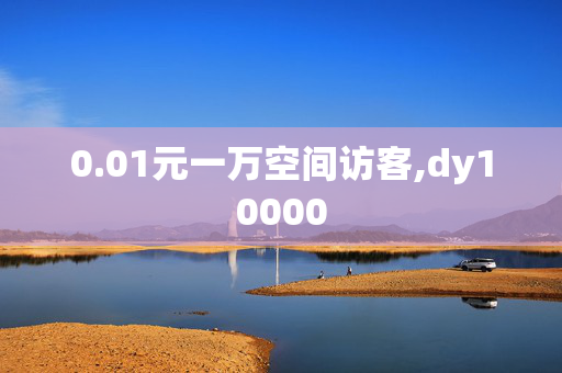 0.01元一万空间访客,dy10000