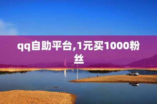 qq自助平台,1元买1000粉丝