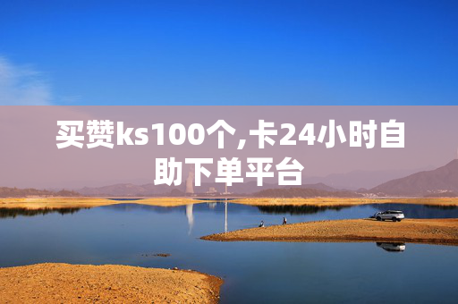 买赞ks100个,卡24小时自助下单平台