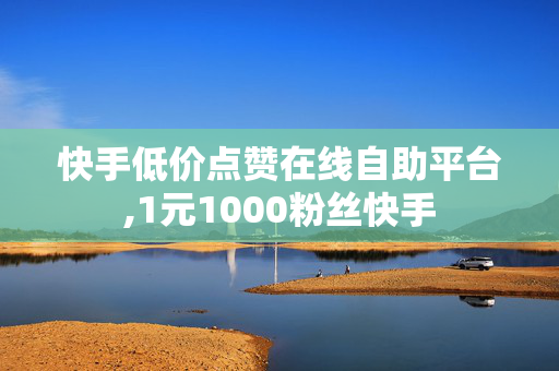 快手低价点赞在线自助平台,1元1000粉丝快手