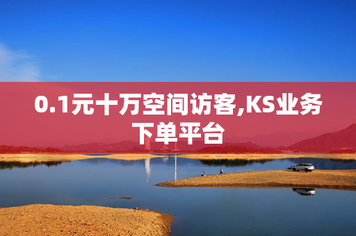 0.1元十万空间访客,KS业务下单平台