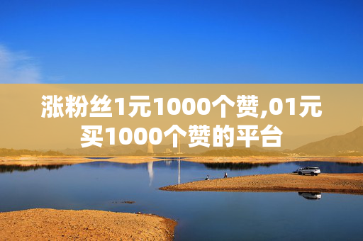 涨粉丝1元1000个赞,01元买1000个赞的平台