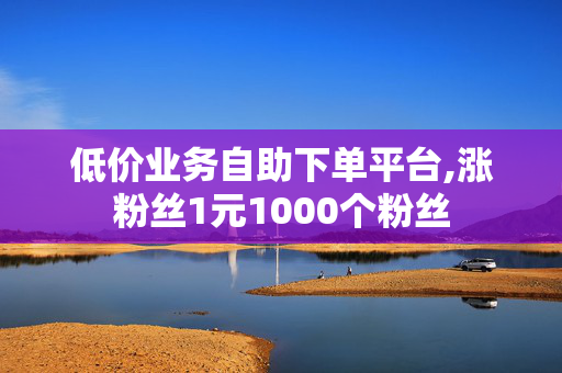 低价业务自助下单平台,涨粉丝1元1000个粉丝