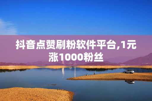 抖音点赞刷粉软件平台,1元涨1000粉丝