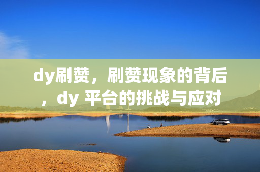 dy刷赞，刷赞现象的背后，dy 平台的挑战与应对