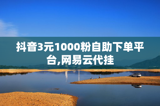 抖音3元1000粉自助下单平台,网易云代挂