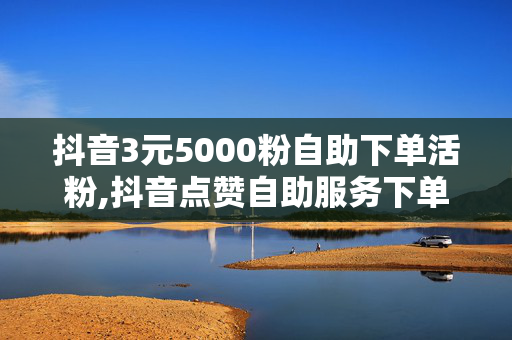 抖音3元5000粉自助下单活粉,抖音点赞自助服务下单