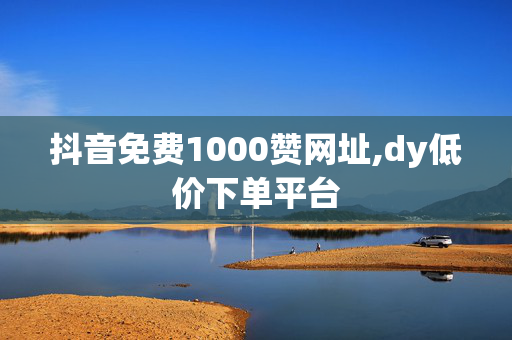 抖音免费1000赞网址,dy低价下单平台