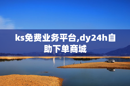 ks免费业务平台,dy24h自助下单商城