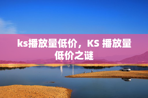 ks播放量低价，KS 播放量低价之谜