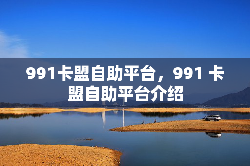 991卡盟自助平台，991 卡盟自助平台介绍