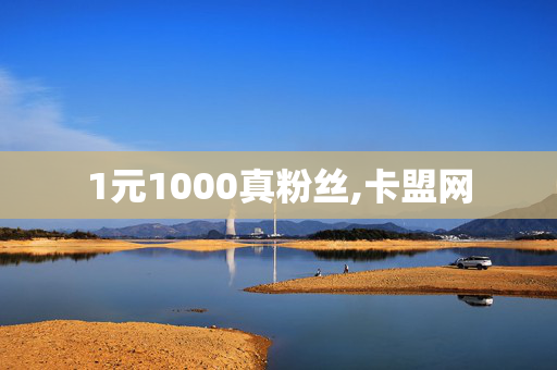 1元1000真粉丝,卡盟网