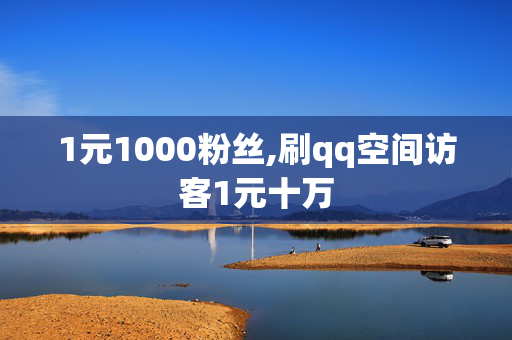 1元1000粉丝,刷qq空间访客1元十万