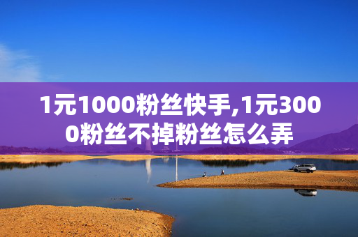 1元1000粉丝快手,1元3000粉丝不掉粉丝怎么弄