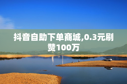 抖音自助下单商城,0.3元刷赞100万