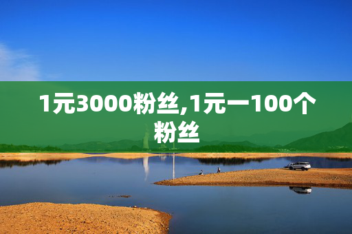 1元3000粉丝,1元一100个粉丝