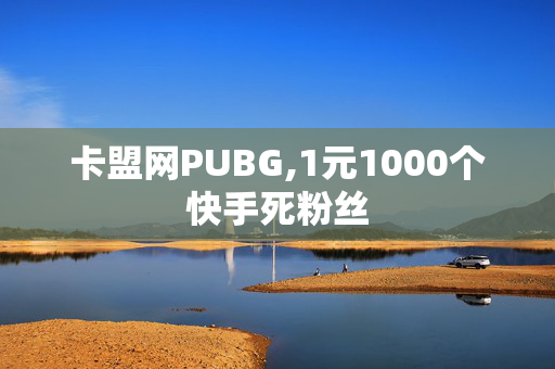 卡盟网PUBG,1元1000个快手死粉丝