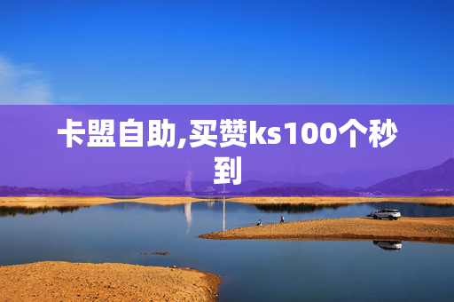 卡盟自助,买赞ks100个秒到