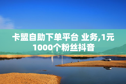 卡盟自助下单平台 业务,1元1000个粉丝抖音