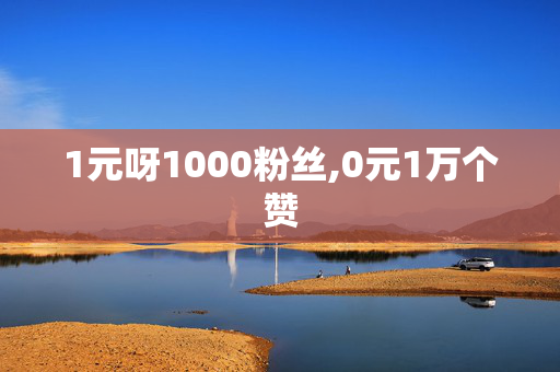 1元呀1000粉丝,0元1万个赞