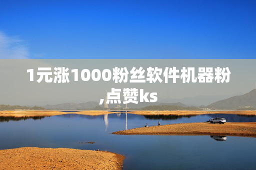 1元涨1000粉丝软件机器粉,点赞ks