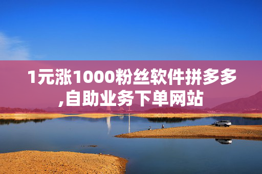 1元涨1000粉丝软件拼多多,自助业务下单网站