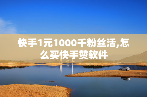 快手1元1000千粉丝活,怎么买快手赞软件