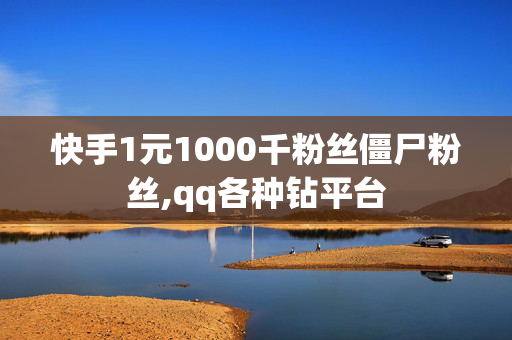 快手1元1000千粉丝僵尸粉丝,qq各种钻平台