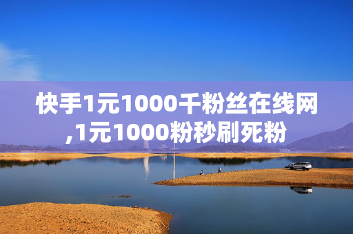 快手1元1000千粉丝在线网,1元1000粉秒刷死粉