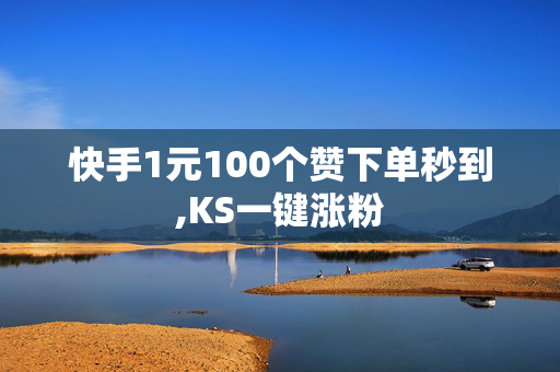 快手1元100个赞下单秒到,KS一键涨粉