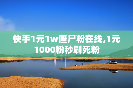 快手1元1w僵尸粉在线,1元1000粉秒刷死粉