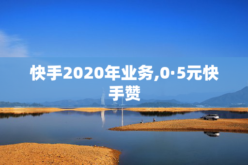 快手2020年业务,0·5元快手赞