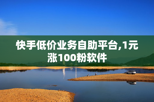 快手低价业务自助平台,1元涨100粉软件