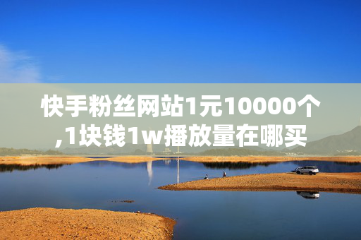 快手粉丝网站1元10000个,1块钱1w播放量在哪买