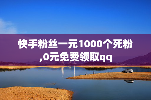 快手粉丝一元1000个死粉,0元免费领取qq