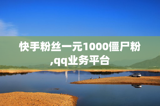 快手粉丝一元1000僵尸粉,qq业务平台