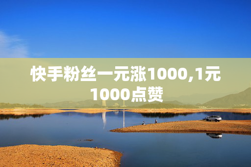 快手粉丝一元涨1000,1元1000点赞