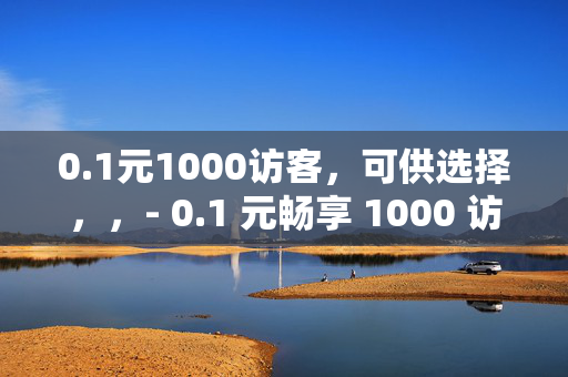 0.1元1000访客，可供选择，，- 0.1 元畅享 1000 访客