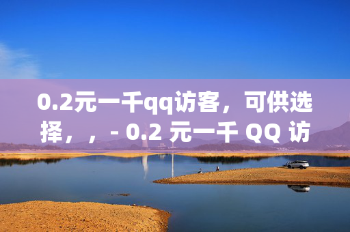 0.2元一千qq访客，可供选择，，- 0.2 元一千 QQ 访客，你还在等什么？