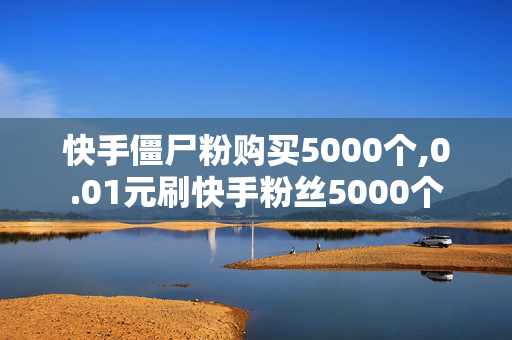 快手僵尸粉购买5000个,0.01元刷快手粉丝5000个