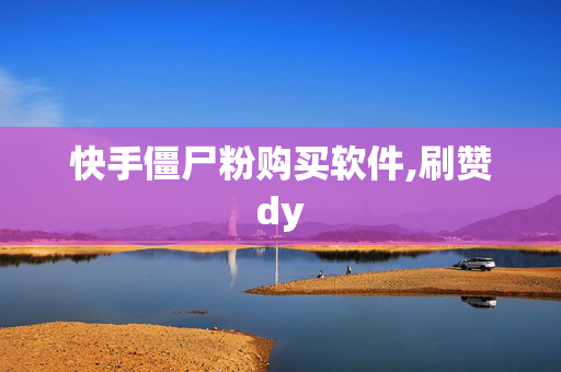 快手僵尸粉购买软件,刷赞dy