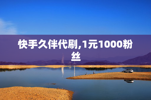 快手久伴代刷,1元1000粉丝