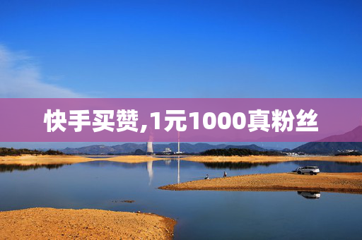 快手买赞,1元1000真粉丝