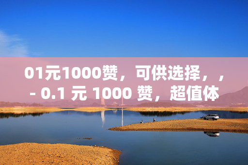 01元1000赞，可供选择，，- 0.1 元 1000 赞，超值体验！