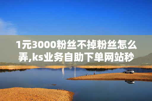 1元3000粉丝不掉粉丝怎么弄,ks业务自助下单网站秒到