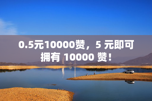 0.5元10000赞，5 元即可拥有 10000 赞！