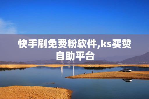 快手刷免费粉软件,ks买赞自助平台